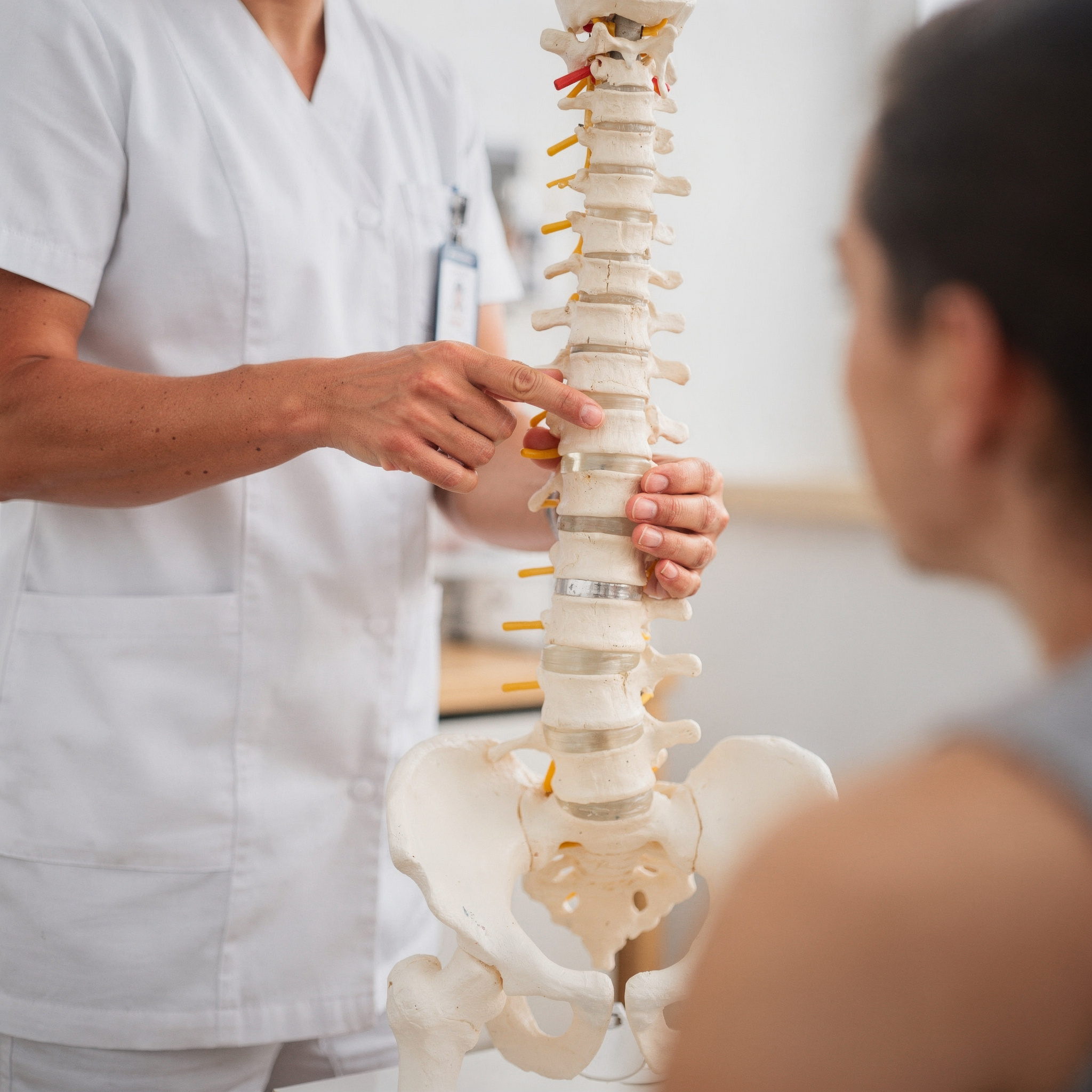 Kinesiología KNG